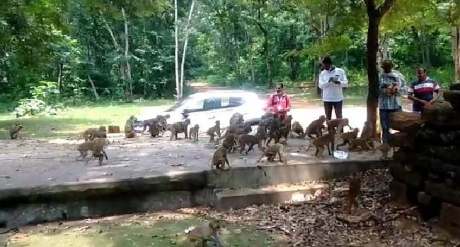 ନିଆରା ଢଙ୍ଗରେ ଜନ୍ମଦିନ ପାଳିଲେ ଗୋବରା ପଞ୍ଚାୟତ