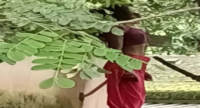 କିସ ଅନୁଷ୍ଠାନ ପକ୍ଷରୁ ପିଲାଙ୍କ ପାଇଁ ପୋଷାକ ଓ ଶୁଖିଲା ଖାଦ୍ୟ