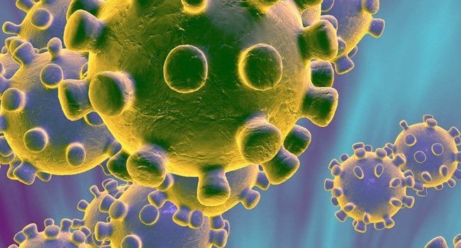 ଭାରତର କୋଭିଡ ସୁସ୍ଥ ହାର ୮୩ ପ୍ରତିଶତ ଅତିକ୍ରମ