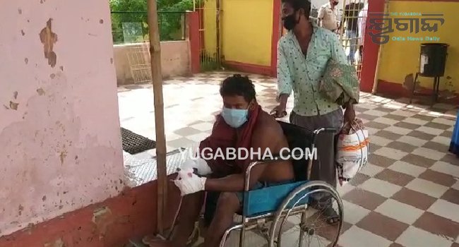 ଭାଲୁ କାମୁଡାରେ ଯୁବ ଚାଷୀ ଗୁରୁତରଭାଲୁ କାମୁଡାରେ ଯୁବ ଚାଷୀ ଗୁରୁତର