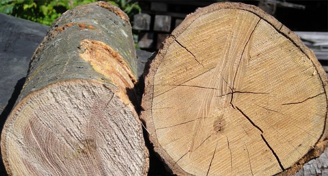 ବନ ବିଭାଗ ପକ୍ଷରୁ କାଠ ପଟା ଓ ଯନ୍ତ୍ରପାତି ଜବତ