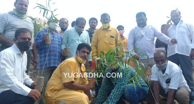 ସେବା ସପ୍ତାହ ପାଳନ ଅବସରରେ ବୃକ୍ଷରୋପଣ କାର୍ଯ୍ୟକ୍ରମ