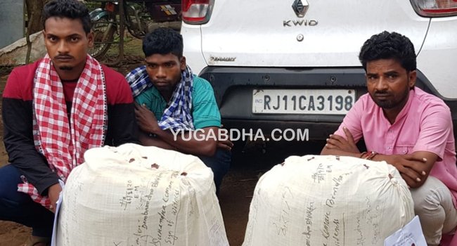 ଗଞ୍ଜେଇ ସହ କାର ଜବତ; ପାଞ୍ଚ ଗିରଫ