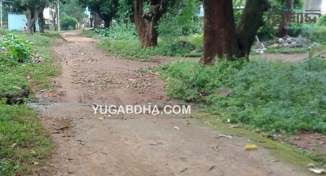 ଜାଗ୍ରତ କନ୍ଧମାଳ ପକ୍ଷରୁ ଖଜୁରିପଡାରେ ରାସ୍ତା ମରାମତି ପାଇଁ ଦାବି