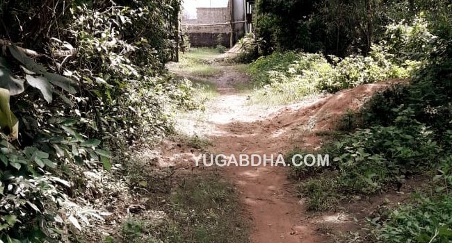 ରାସ୍ତା ଟିଏ ନଥିବାରୁ ୪ ପରିବାର ଭୋଗୁଛନ୍ତି ଦୁର୍ଦଶା