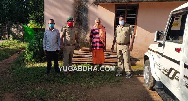 ୨୯ ଖଣ୍ଡ ଶାଳ ପଟା ଜବତ, ଜଣେ ଗିରଫ