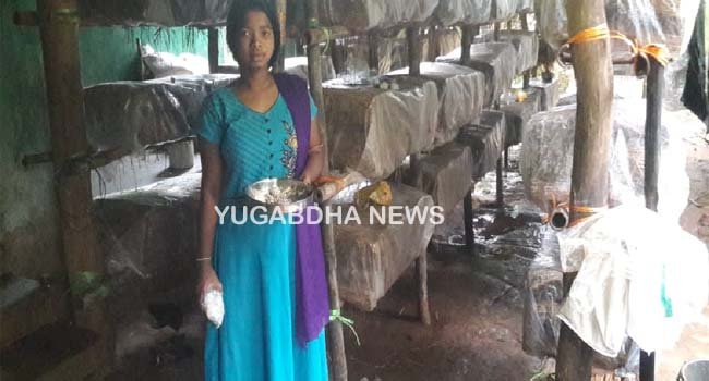 ଲକ୍‌ଡାଉନ୍‌ ଦେଖାଇଲା ରୋଜଗାର ରାସ୍ତା; ୟୁଟୁବ୍ ଦେଲା ଶିକ୍ଷା