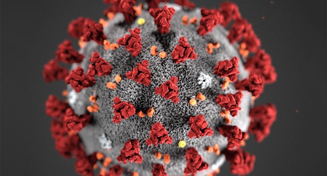 ହାଟଡିହି ବ୍ଲକରେ ଦୁଇ ଦିନରେ ୮ଜଣ କରୋନା ଆକ୍ରାନ୍ତ ଚିହ୍ନଟ