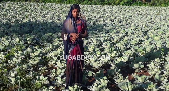 ଆଦର୍ଶ ଚାଷି:ମିତା ପ୍ରଧାନ