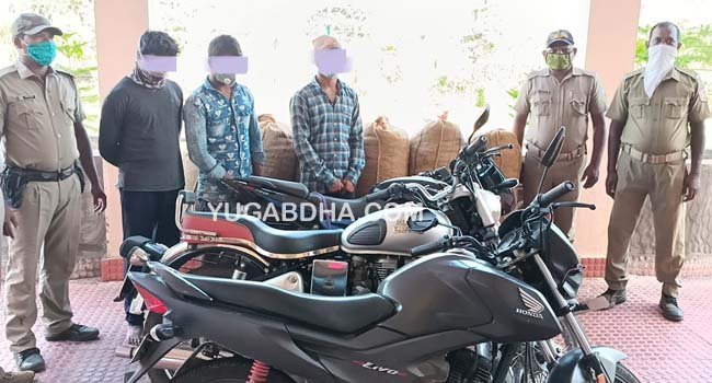 ବିଭିନ୍ନ ଚୋରି ଘଟଣାରେ ଜଡ଼ିତ ୩ ଜଣ ଗିରଫ