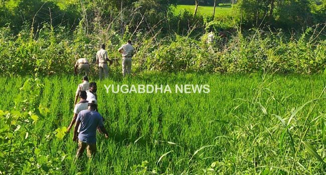 ବାରାହା ଶୀକାର ପାଇଁ ବିଛା ଯାଇଥିବା ବିଦ୍ୟୁତ ତାର ଲାଗି ୨ ଭାଇଙ୍କ ମୃତ୍ୟୁ