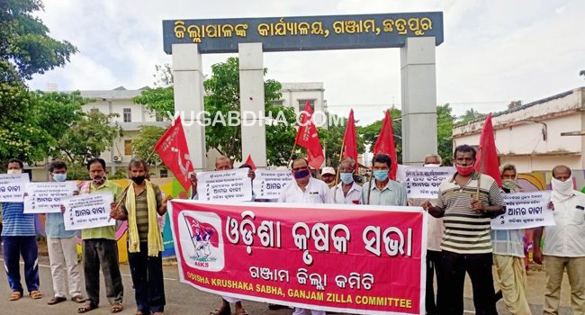 ସାର କଳାବଜାର ବନ୍ଦ କରିବା ନେଇ ଓଡିଶା କୃଷକ ସଭା ଜିଲ୍ଲା କମିଟିର ବିକ୍ଷୋଭ