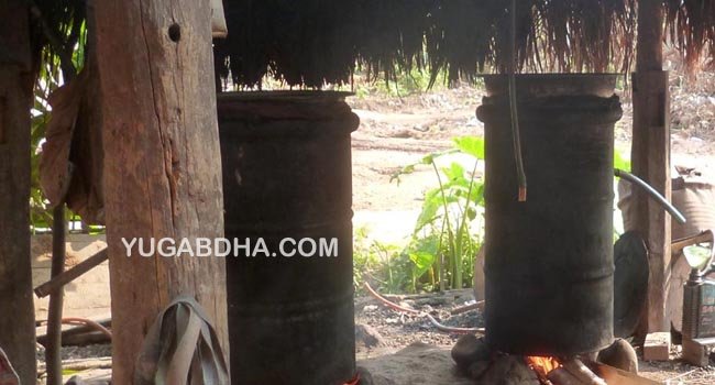 ଢ଼େଙ୍କାରେ ଚାଲିଛି ଚୋରା ଦେଶୀମଦ ପ୍ରସ୍ତୁତି; କିଡ୍‌ନି ରୋଗର ଶୀକାର ହେଉଛନ୍ତି ଲୋକେ 