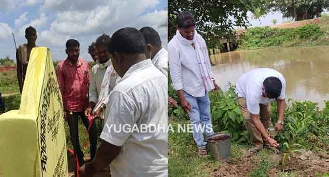 କେଶପୁର ପଂଚାୟତରେ ମନରେଗା ବୃକ୍ଷରୋପଣ କାର୍ଯ୍ୟକ୍ରମର ଶୁଭାରମ୍ଭ