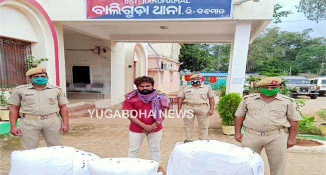 ଗଞ୍ଜେଇ ଧରି ଗାଡିକୁ ଅପେକ୍ଷା କରିଥିଲା, ପୋଲିସ ହାବୁଡେ ପଡି ଜେଲ ଗଲା