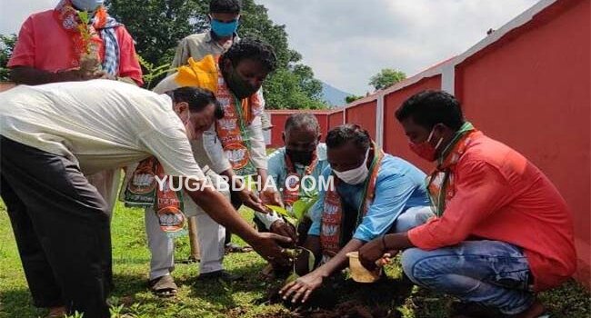 ତୁମୁଡ଼ିବନ୍ଧ ବିଜେପି ଶାଖା ପକ୍ଷରୁ ବୃକ୍ଷରୋପଣ କାର୍ଯ୍ୟକ୍ରମ