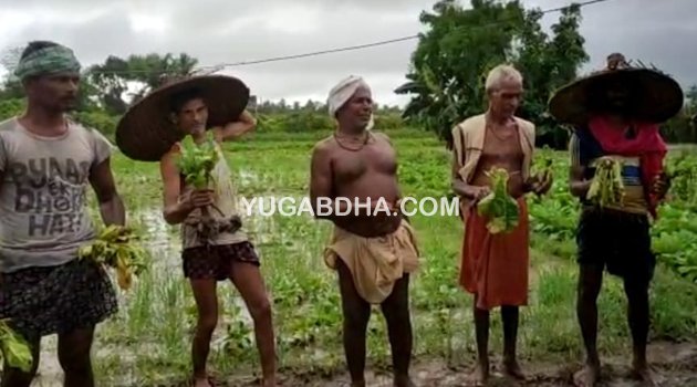 ଲଗାଣ ବର୍ଷାହେବା ଯୋଗୁଁ ବିଭିନ୍ନ ଚାଷଜମି କ୍ଷୟକ୍ଷତି