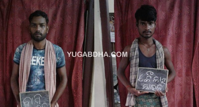 ୩ ଘନଫୁଟ ଶାଳ ଗଣ୍ଡି ଜବତ,୨ ଜଣ ଗିରଫ