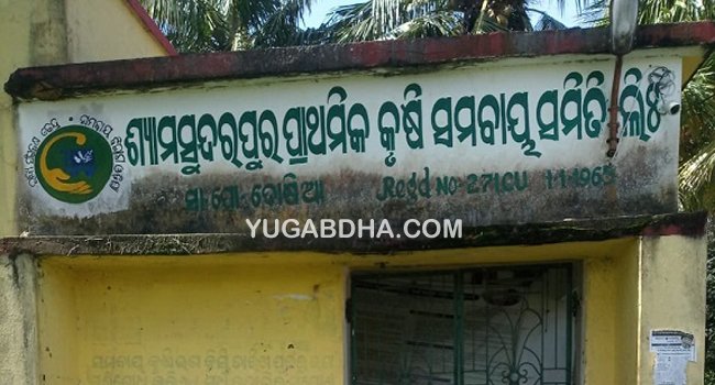 ଚାଷୀଙ୍କ ଅଜାଣତରେ ଶହ ଶହ କ୍ୱିଂଟାଲ ଧାନ ସରକାରୀ ଦରରେ କିଣାବିକା ଅଭିଯୋଗ