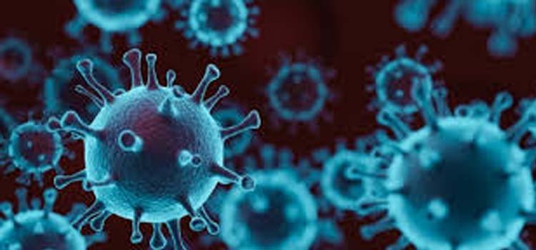 କନ୍ଧମାଳ ଜିଲ୍ଲାରେ ୬ କରୋନା ଯୋଦ୍ଧାଙ୍କ ସମେତ ୩୪ ନୂଆ ସଂକ୍ରମିତ ଚିହ୍ନଟ