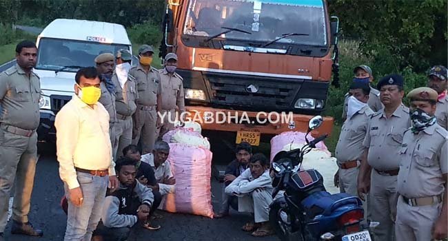 ୪୦ଲକ୍ଷ୍ୟ ଗଞ୍ଜେଇ ସହ ୬ ଗିରଫ ୨ଗାଡ଼ି ଜବତ