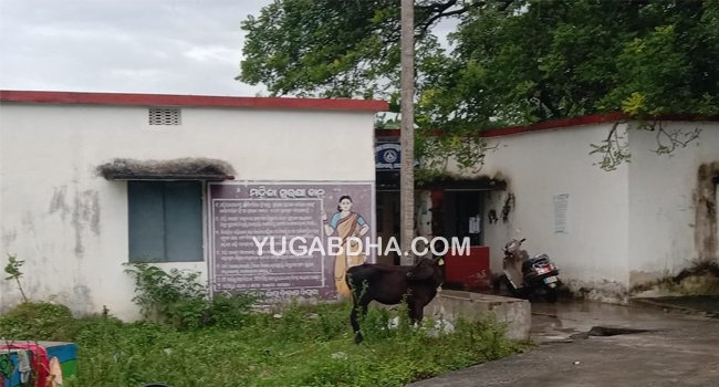 କାଶୀନଗର ଶିଶୁ ବିକାଶ ପ୍ରକଳ୍ପ କାର୍ଯ୍ୟାଳୟ ତରଫରୁ ହେଉନାହିଁ ମହିଳା ଓ ଶିଶୁ କାର୍ଯ୍ୟକ୍ରମ