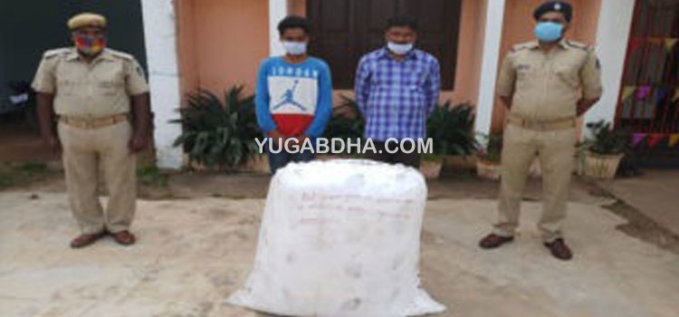 ୪୮ କେଜି ଗଞ୍ଜେଇ ଜବତ; ୨ ଗିରଫ