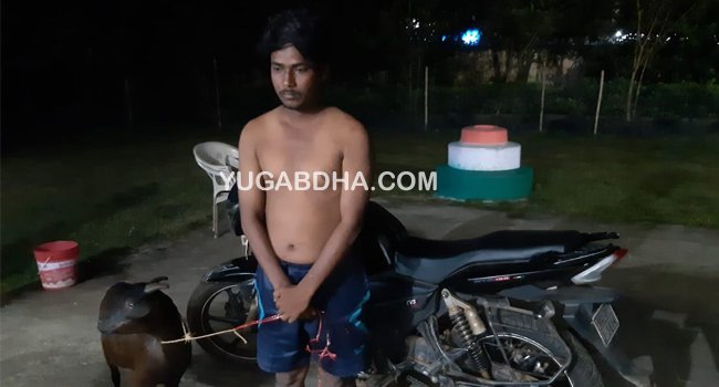 ଧରା ପଡିଲା ଛେଳି ଚୋର