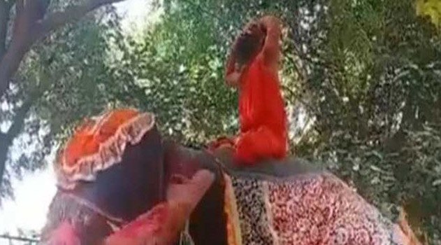 ହାତୀ ଉପରେ ଯୋଗ କରି ରାମଦେବଙ୍କ ଭିଡ଼ିଓ ଭାଇରାଲ