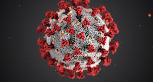 ପ୍ରତି ୧୦ ଲକ୍ଷ ଜନସଂଖ୍ୟାରେ ଭାରତରେ ସବୁଠାରୁ କମ୍ ମୃତ୍ୟୁ ହାର