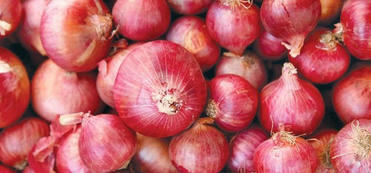 ଦୀପାବଳି ପୂର୍ବରୁ ଆମଦାନି ହେବ ୨୫ ହଜାର ଟନ୍ ପିଆଜ