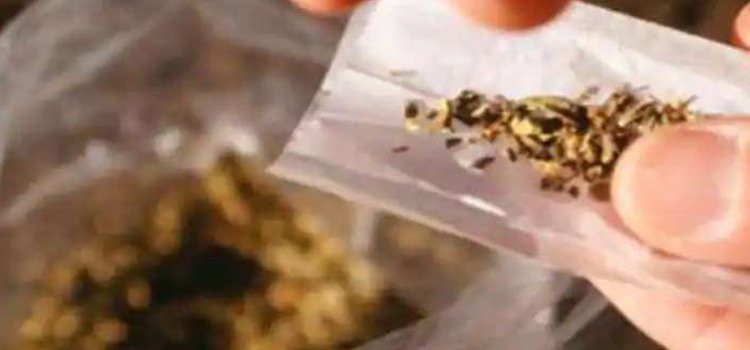 ରାଜେନ୍ଦ୍ରପୁର-ଚୁଡାକୁଟି ରାସ୍ତା ପାର୍ଶ୍ବରେ ନିଶା ଦ୍ରବ୍ୟ କାରବାର ଵୃଦ୍ଧି 