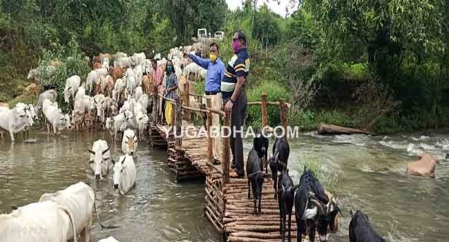 ବୃତ୍ତଙ୍ଗ ନଦୀ ଉପରେ କାଠ ପୋଲ ଭରସା ଘଟଣା;ଘଟଣାସ୍ଥଳ ପରିଦର୍ଶନ କଲେ ପ୍ରକଳ୍ପ ନିର୍ଦ୍ଦେଶକ