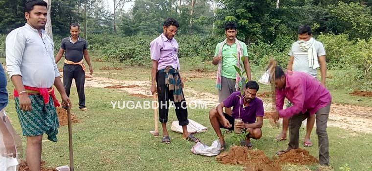 ଜମ୍ଭରା ଗ୍ରାମ ଯୁବକଙ୍କ ଦ୍ୱାରା ବୃକ୍ଷ ରୋପଣ 