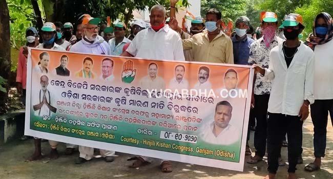 କୃଷି ବିଲ୍‌କୁ ବିରୋଧ କରି ହିଞ୍ଜିଳି କିଶାନ କଂଗ୍ରେସ ପକ୍ଷରୁ ବିକ୍ଷୋଭ