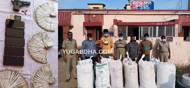 ଗଞ୍ଜେଇ ଲୋଡିଙ୍ଗ ସମୟରେ ପୋଲିସର ଚଢାଉ;ଜୀବନ୍ତ ଗୁଳି ସହ ପିସ୍ତଲ, ୩ ଶହ କେଜି ଗଞ୍ଜେଇ ଓ ଦେଢ ଲକ୍ଷ ଟଙ୍କା ଜବତ