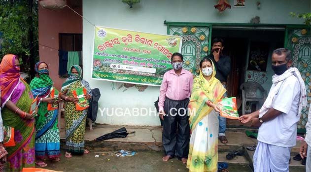 ପାକଶାଳା ବଗିଚା ପାଇଁ ମଞ୍ଜି ବଣ୍ଟନ