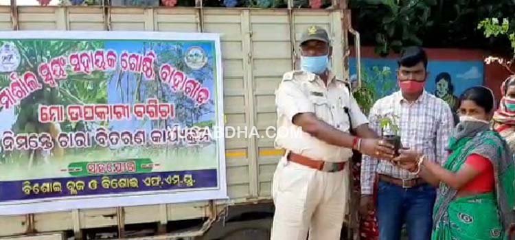 ବିଶୋଇ ବ୍ଲକ ରେ "ମୋ ଉପକାରୀ ବଗିଚା"ଯୋଜନା ର ଶୁଭାରମ୍ଭ