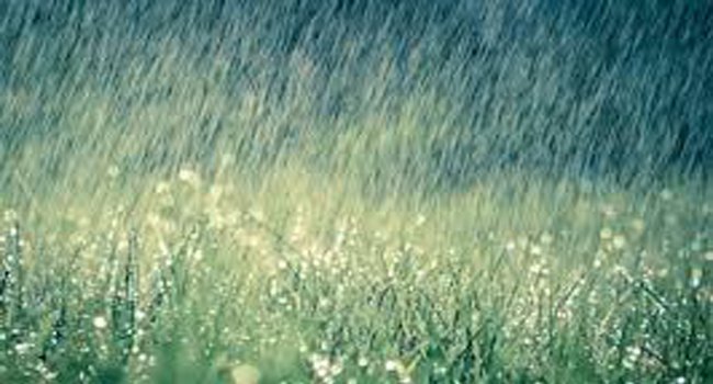 ରାଜ୍ୟର ବନ୍ୟା ପରିସ୍ଥିତି ନେଇ ମହାରାଷ୍ଟ୍ର ମୁଖ୍ୟମନ୍ତ୍ରୀଙ୍କ ସହ ପ୍ରଧାନମନ୍ତ୍ରୀଙ୍କ ଆଲୋଚନା