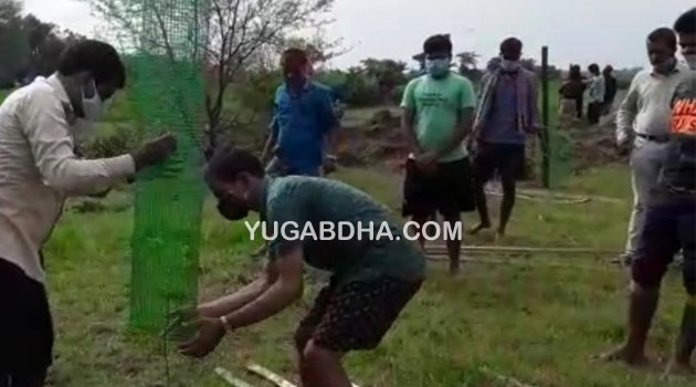 ନସିରିପୁରରେ ଔଷଧିୟ ବୃକ୍ଷରୋପଣ ଓ ଜୈବିକ ସାର ବ୍ୟବହାର ସଚେତନତା କାର୍ଯ୍ୟକ୍ରମ 