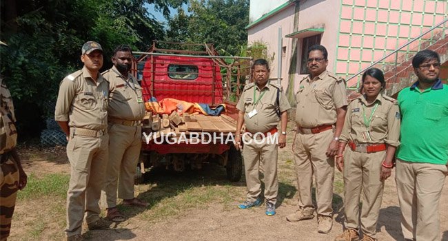 ଶଗୁଆନ ପଟା ଓ ସାଇଜ ସହ ଗାଡି ଜବତ
