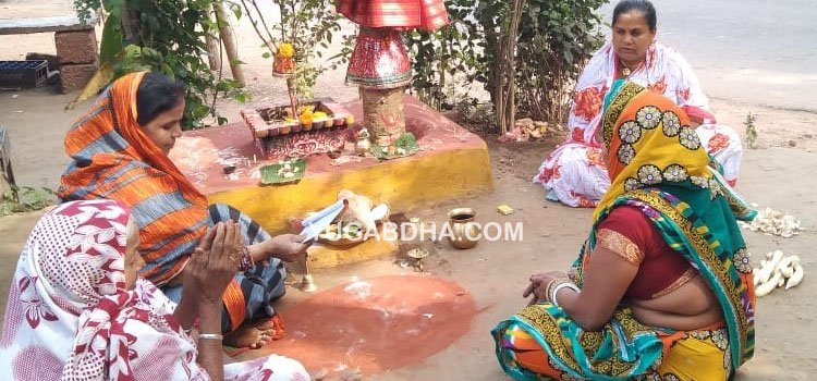 ଅଁଳା ନବମୀରେ ତୁଳସୀ ଓ ଅଁଳା ବୃକ୍ଷକୁ ପୂଜା କରି ଭଗବାନଙ୍କ ଆଶୀର୍ବାଦ ଭିକ୍ଷା କଲେ ଭକ୍ତ