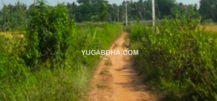 ଗାଁ କୁ ନାହିଁ ରାସ୍ତା;ଅଚିନ୍ତା ନିଦ୍ରାରେ ପ୍ରଶାସନ