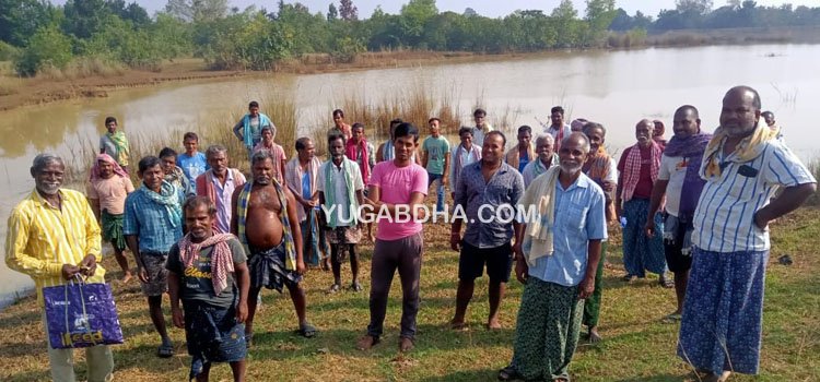 ଧାନ ଫସଲରେ ଘାଇ ପାଣି ଭର୍ତ୍ତିକୁ ନେଇ ଚାଷୀ ଅସନ୍ତୋଷ