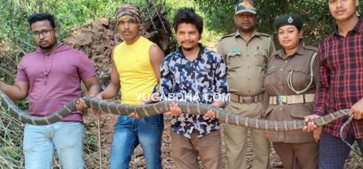 ସ୍କୁଲ ଫାଟକରୁ ଅହିରାଜ ସାପ ଉଦ୍ଧାର 