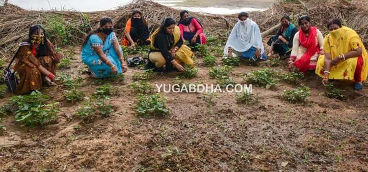 ମହିଳା ସ୍ୱଂୟ ସହାୟକ ଗୋଷ୍ଠୀଙ୍କ ଜନ ସଚେତନତା କାର୍ଯ୍ୟକ୍ରମ