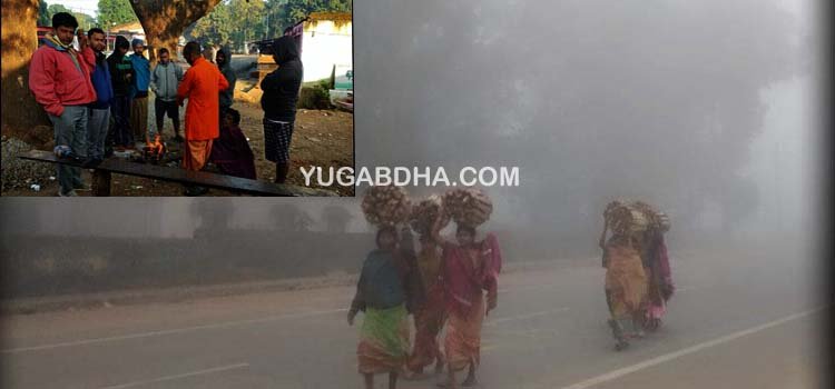 ସମଗ୍ର କନ୍ଧମାଳ ଥରିଲା ; ଘନ କୁୁହୁଡ଼ି ଚାଦର ଯୋଗୁଁ  ଯାନବାହାନ ଚଳାଚଳ ବାଧାପ୍ରାପ୍ତ 