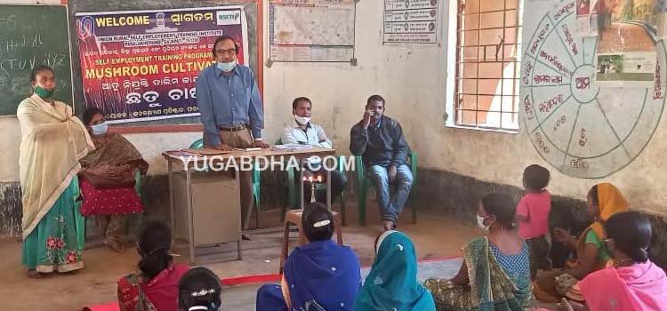 ପାରଳାରେ ଛତୁ ଚାଷ ତାଲିମ କାର୍ଯ୍ୟକ୍ରମ ଉଦ୍‌ଘାଟିତ