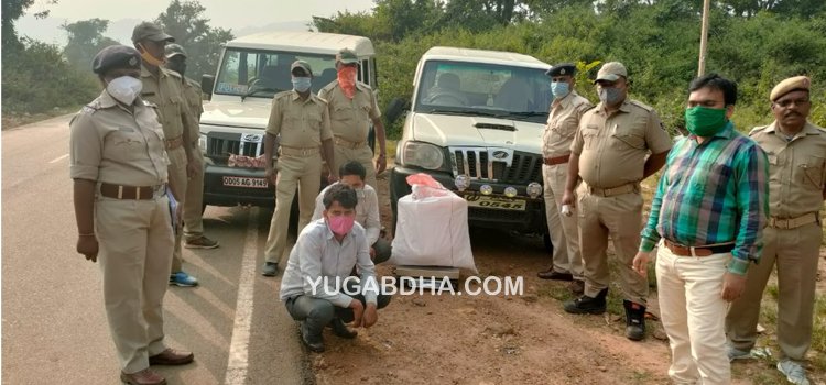 ୨୪ କେଜି ଗଞ୍ଜେଇ ସହ ଦୁଇ ଗିରଫ