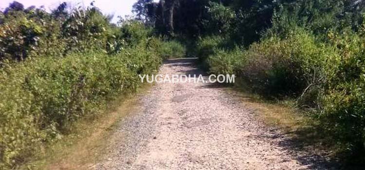 ବିଭାଗୀୟ ଯନ୍ତ୍ରୀ ଓ ଠିକାଦାରଙ୍କ ମଧୁଚନ୍ଦ୍ରିକା ଯୋଗୁଁ ୪ବର୍ଷ ହେଲା ସରୁନି ରାସ୍ତା ନିର୍ମାଣ କାମ; ଗମନା ଗମନରେ ବାଧା ପ୍ରାପ୍ତ